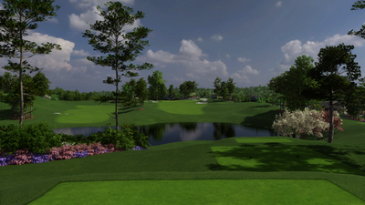 foresight-test Azalea National Executive