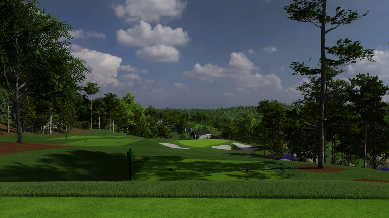 foresight-test Azalea National Executive