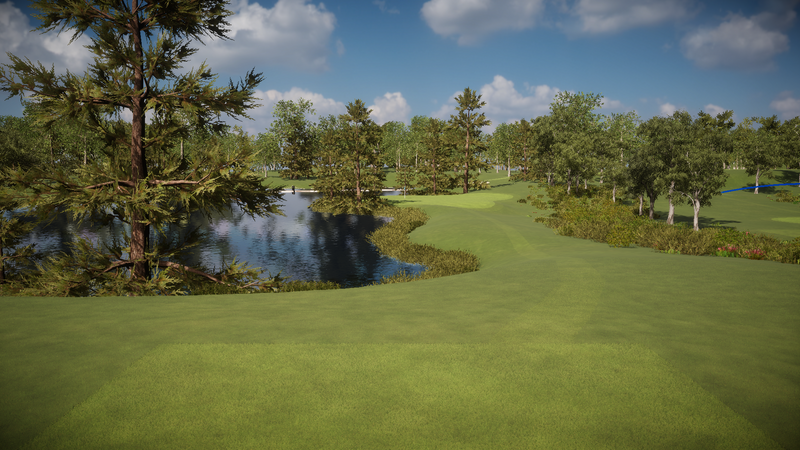 foresight-test Pitch n Putt