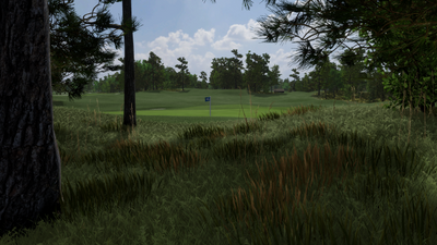 foresight-test Bunker Hills Golf Club