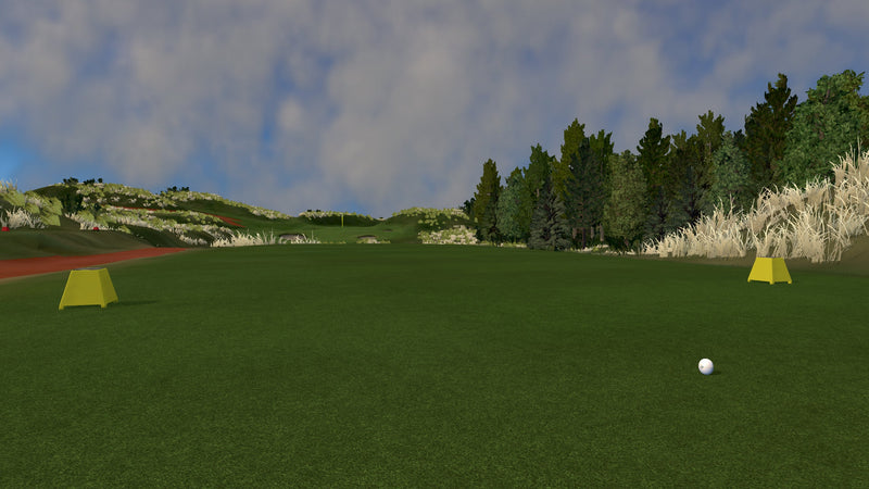 foresight-test Royal Birkdale Golf Club