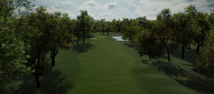 Lushious Greens in Virtual Golf Course